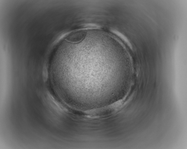 X0000113561407200909251049