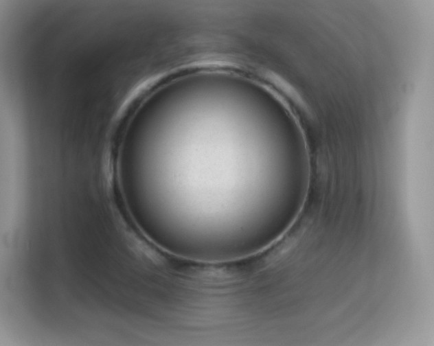 X0000113561408200909251049
