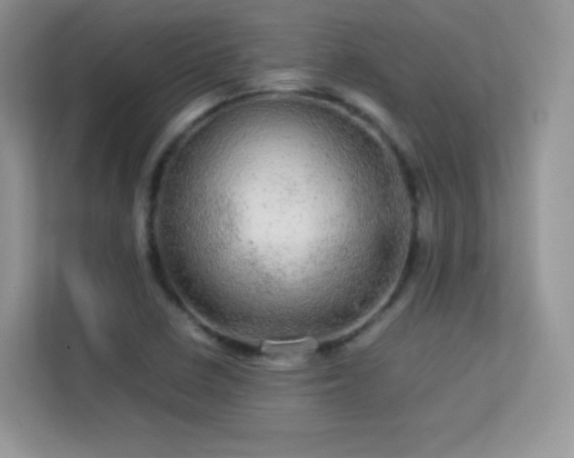 X0000113561410200909251049