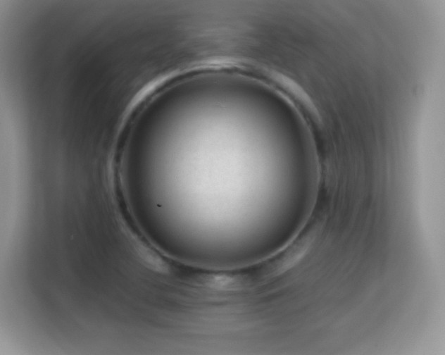 X0000113561412200909251049