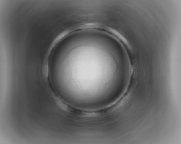 X0000113561413200909251049