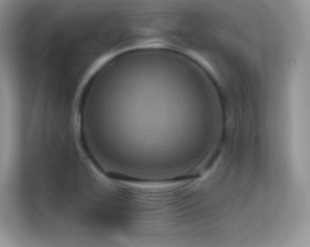 X0000113561414200909251049