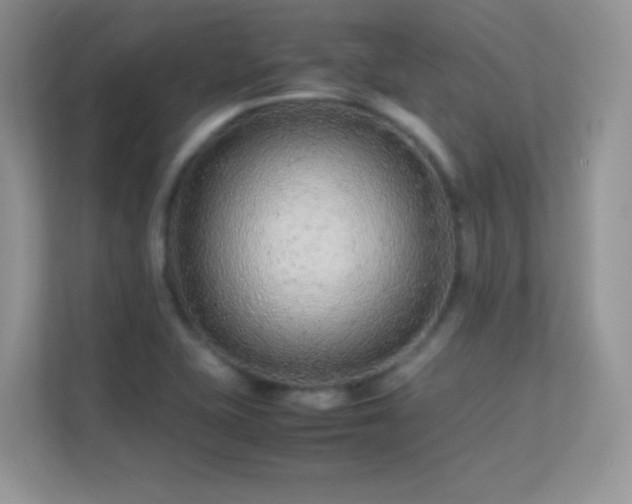 X0000113561415200909251049