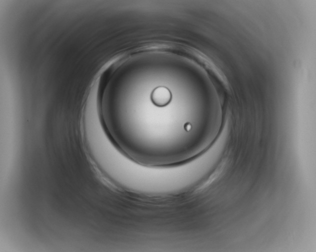 X0000113561417200909251049