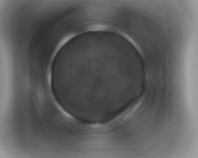 X0000113561418200909251049