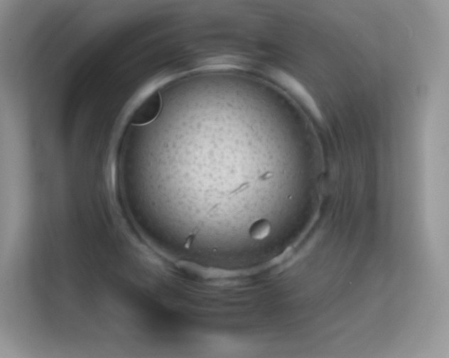 X0000113561419200909251049