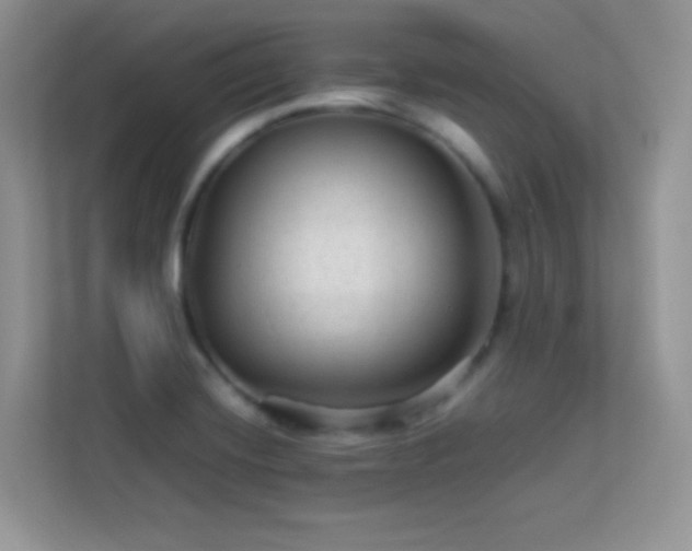 X0000113561420200909251049
