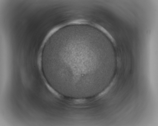 X0000113561421200909251049