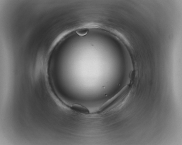 X0000113561422200909251049