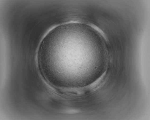 X0000113561423200909251049