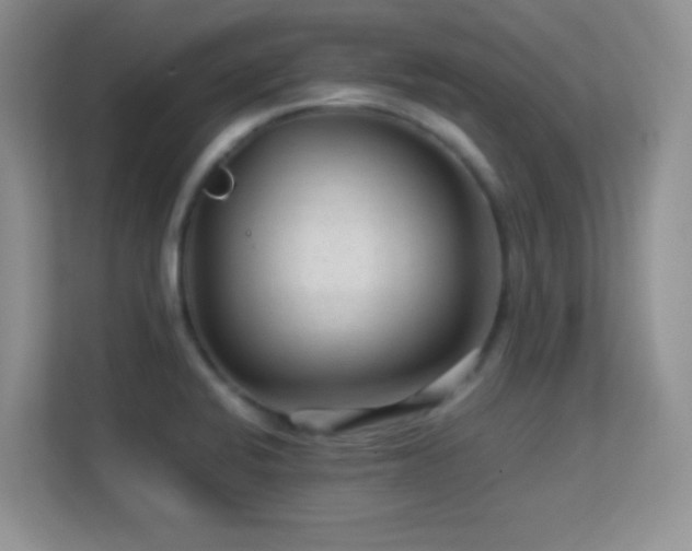 X0000113561424200909251049