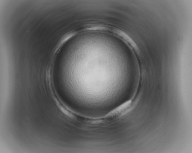 X0000113561425200909251049