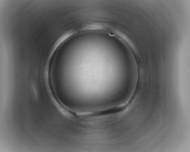 X0000113561426200909251049