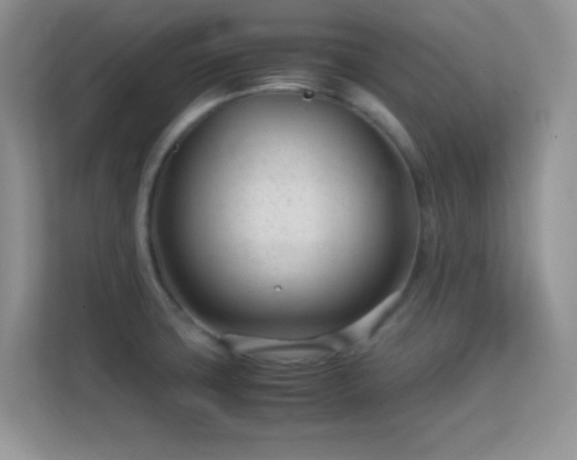 X0000113561427200909251049
