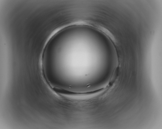 X0000113561428200909251049