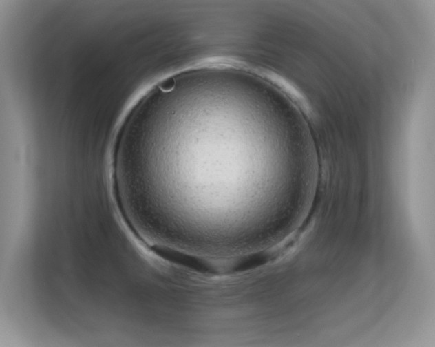 X0000113561430200909251049