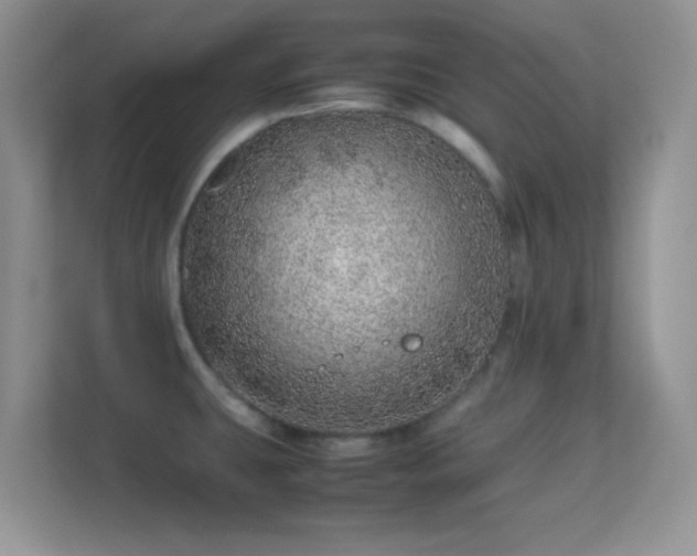 X0000113561431200909251049