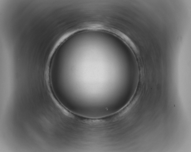 X0000113561432200909251049
