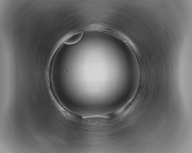X0000113561434200909251049