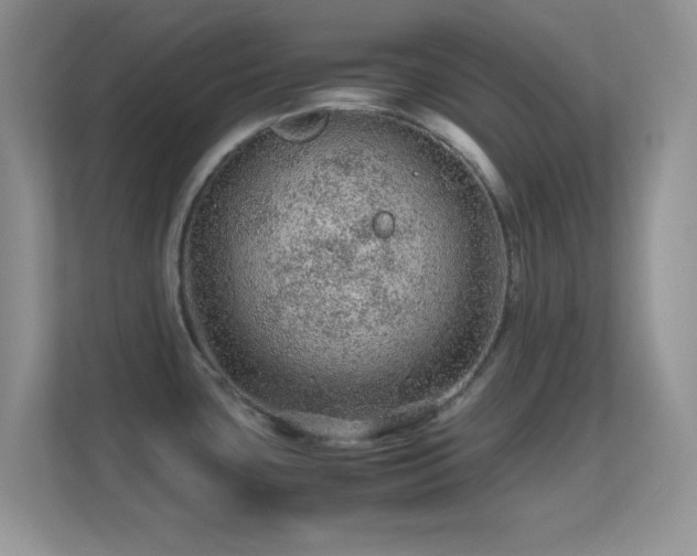 X0000113561435200909251049