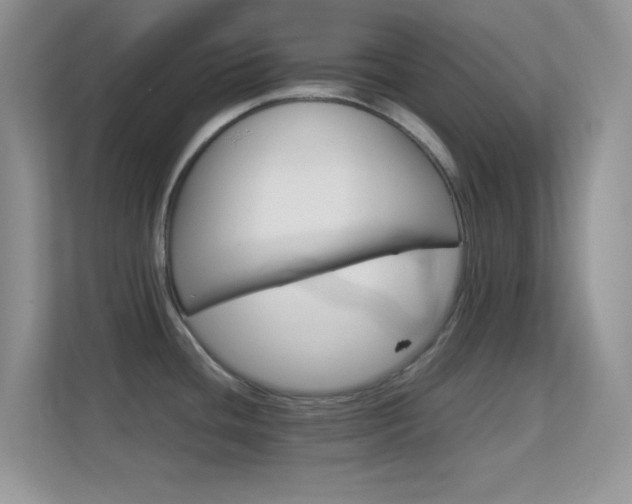 X0000113561436200909251049