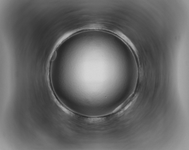 X0000113561437200909251049