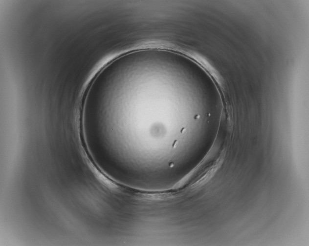 X0000113561438200909251049