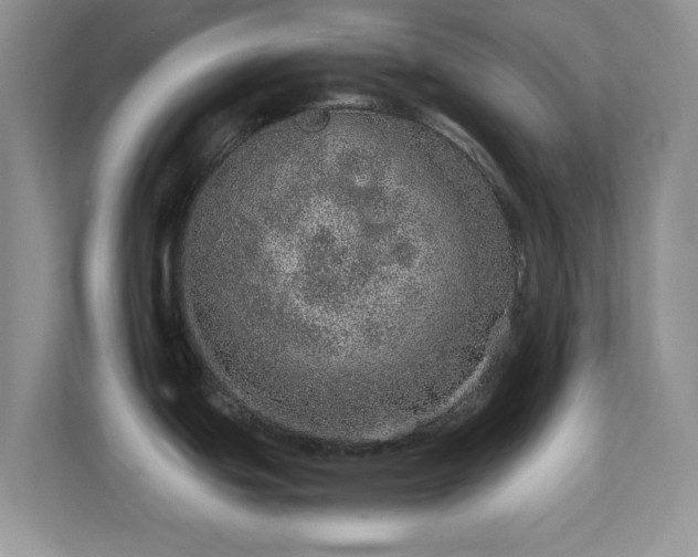 X0000113561439200909251049