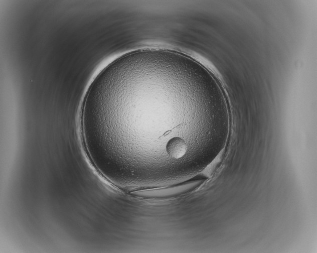 X0000113561440200909251049
