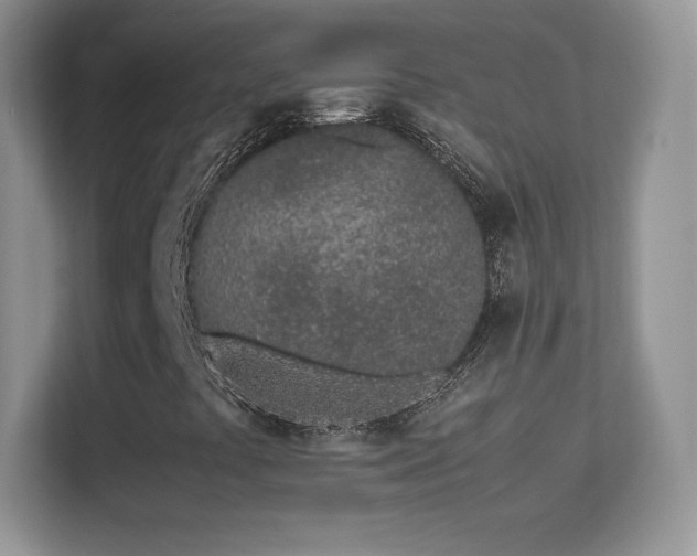 X0000113561441200909251049