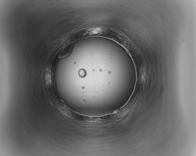 X0000113561442200909251049