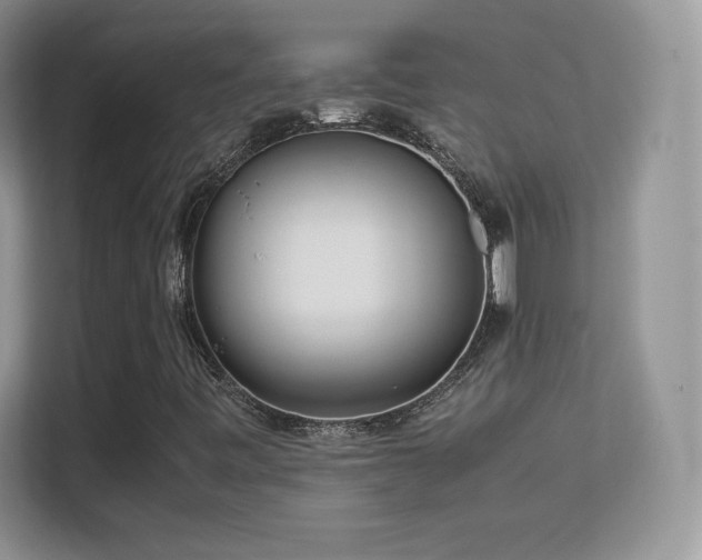 X0000113561443200909251049
