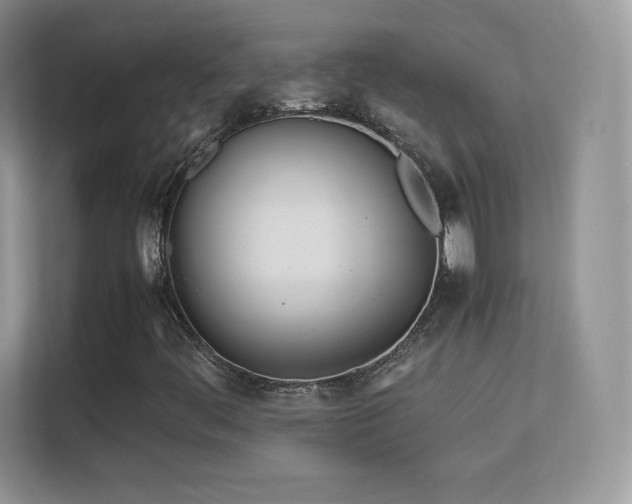 X0000113561444200909251049