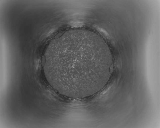 X0000113561445200909251049