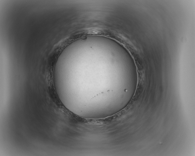 X0000113561446200909251049