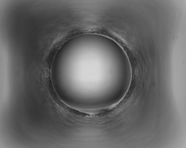 X0000113561447200909251049
