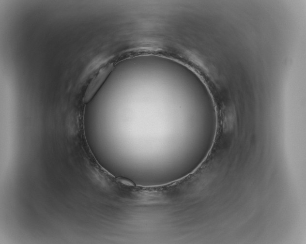 X0000113561448200909251049