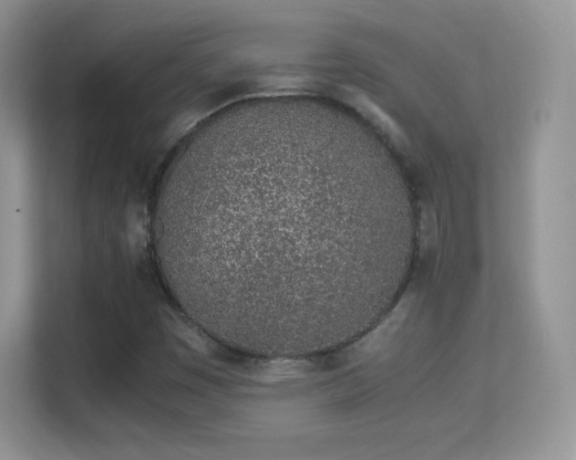 X0000113561449200909251049