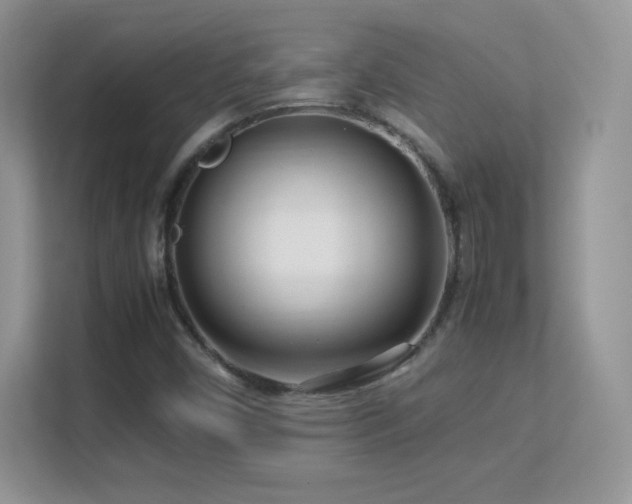 X0000113561450200909251049