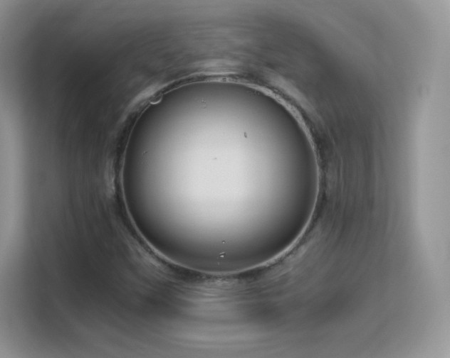 X0000113561451200909251049