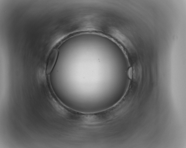 X0000113561452200909251049