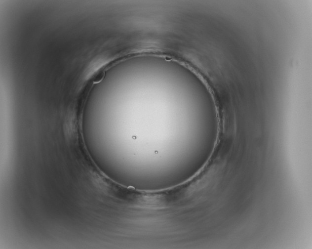 X0000113561453200909251049