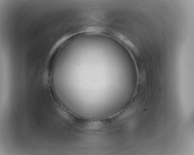 X0000113561454200909251049
