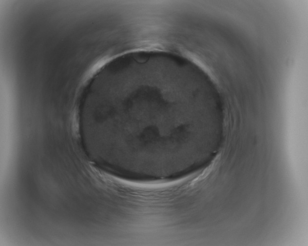 X0000113561455200909251049