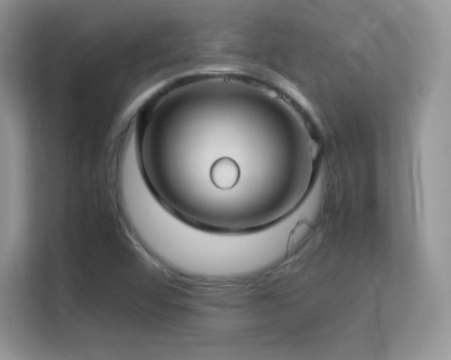 X0000113561456200909251049