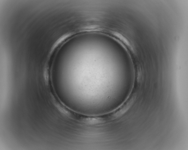 X0000113561458200909251049