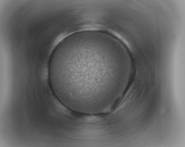 X0000113561459200909251048