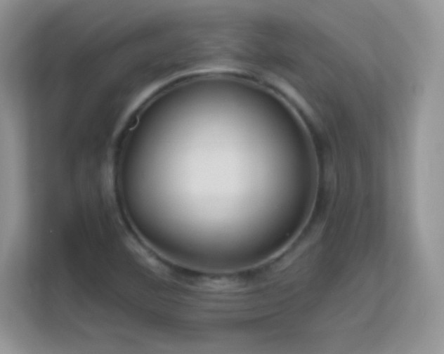 X0000113561460200909251048