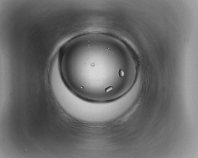 X0000113561461200909251048