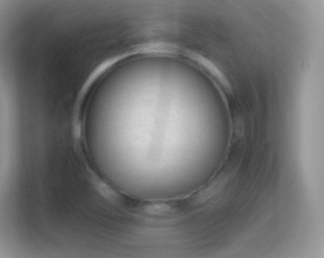 X0000113561462200909251048